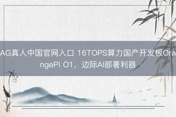 AG真人中国官网入口 16TOPS算力国产开发板OrangePi O1，边际AI部署利器