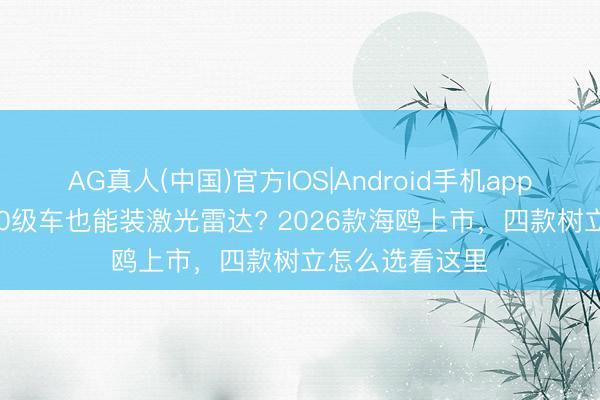 AG真人(中国)官方IOS|Android手机app下载 9万级A00级车也能装激光雷达? 2026款海鸥上市，四款树立怎么选看这里
