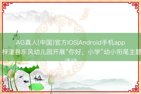 AG真人(中国)官方IOS|Android手机app下载 梓潼县东风幼儿园开展“你好，小学”幼小衔尾主题活动