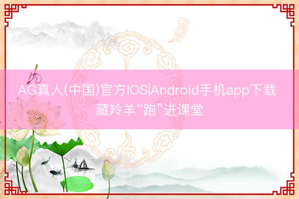 AG真人(中国)官方IOS|Android手机app下载 藏羚羊“跑”进课堂