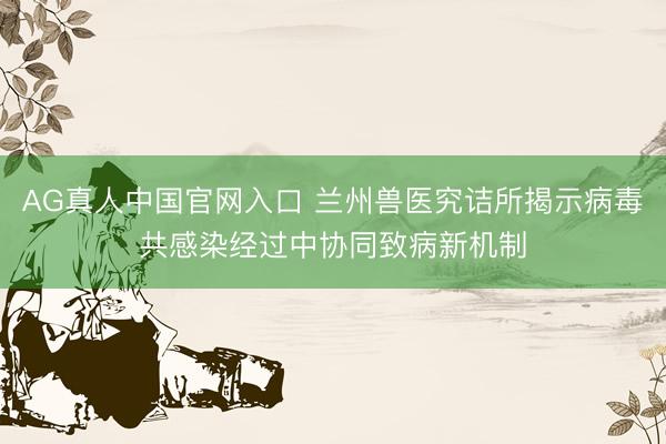 AG真人中国官网入口 兰州兽医究诘所揭示病毒共感染经过中协同致病新机制