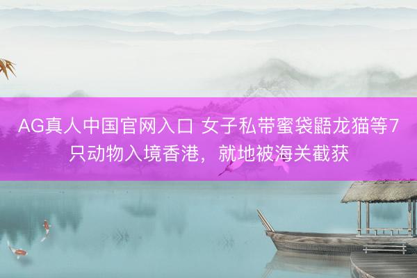 AG真人中国官网入口 女子私带蜜袋鼯龙猫等7只动物入境香港，就地被海关截获