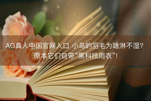 AG真人中国官网入口 小鸟的羽毛为啥淋不湿? 原本它们自带“黑科技雨衣”!