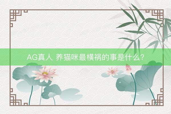 AG真人 养猫咪最横祸的事是什么?