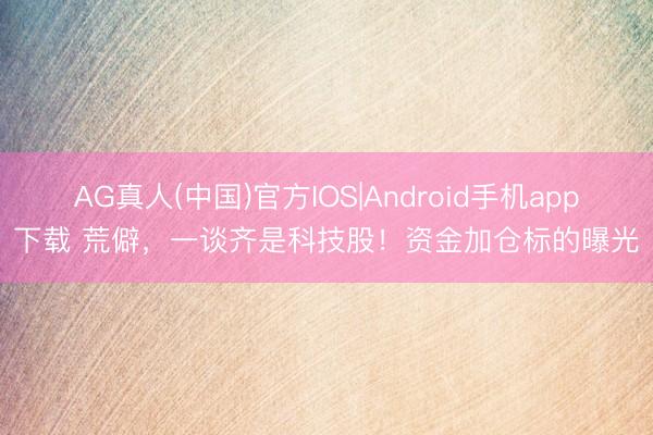 AG真人(中国)官方IOS|Android手机app下载 荒僻，一谈齐是科技股！资金加仓标的曝光