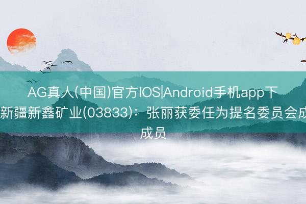 AG真人(中国)官方IOS|Android手机app下载 新疆新鑫矿业(03833)：张丽获委任为提名委员会成员