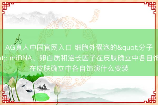 AG真人中国官网入口 细胞外囊泡的"分子火器库": miRNA、卵白质和滋长因子在皮肤确立中各自饰演什么变装