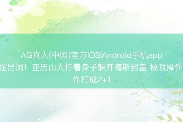 AG真人(中国)官方IOS|Android手机app下载 灵蛇出洞！亚历山大拧着身子躲开海斯封盖 极限操作打成2+1