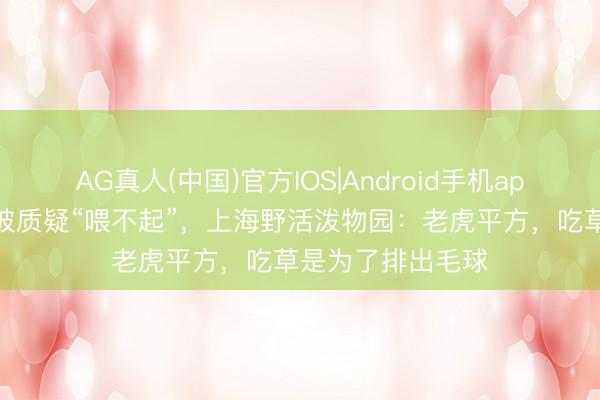 AG真人(中国)官方IOS|Android手机app下载 老虎吃草被质疑“喂不起”，上海野活泼物园：老虎平方，吃草是为了排出毛球