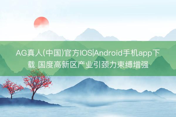 AG真人(中国)官方IOS|Android手机app下载 国度高新区产业引颈力束缚增强