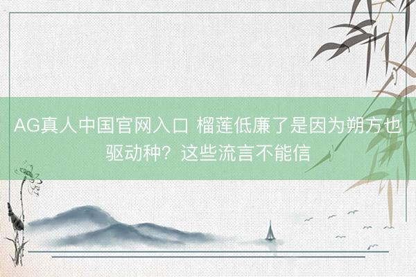 AG真人中国官网入口 榴莲低廉了是因为朔方也驱动种?这些流言不能信