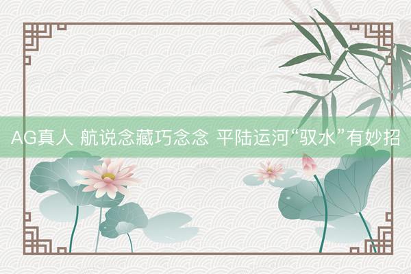 AG真人 航说念藏巧念念 平陆运河“驭水”有妙招
