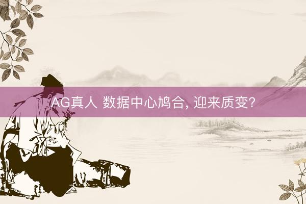 AG真人 数据中心鸠合, 迎来质变?