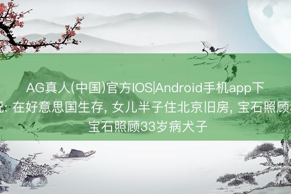 AG真人(中国)官方IOS|Android手机app下载 王姬近况: 在好意思国生存, 女儿半子住北京旧房, 宝石照顾33岁病犬子